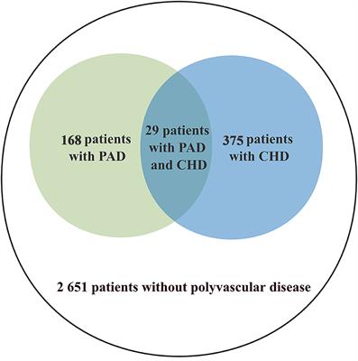 Associations Between Polyvascular Disease and Stroke Recurrence in Patients With Lacunar Stroke